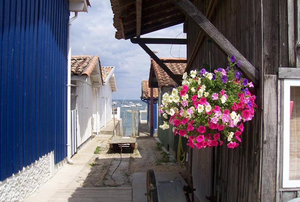Apartamento Lénoka La Teste-de-Buch Exterior foto